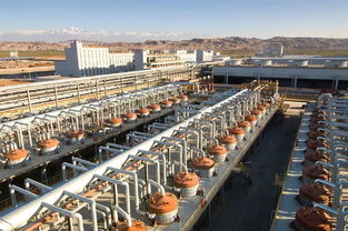 绿色工厂再添新绿 阜康能源万吨级无汞触媒试验装置土建工程正式开工